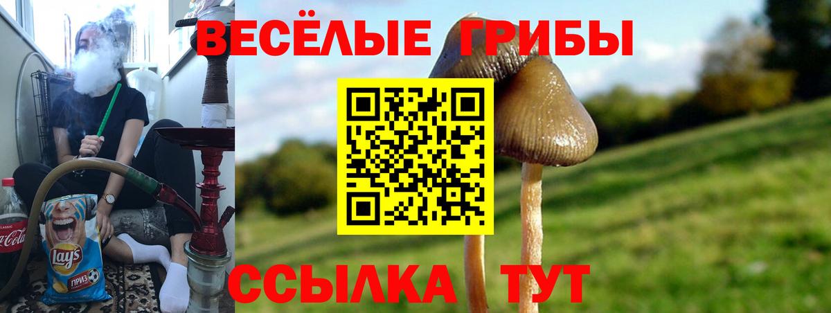 Кашира  где продают наркотики  Вход с VPN  Галлюциногенные грибы мухоморы  Псилоцибиновые грибы GOLDEN TEACHER 